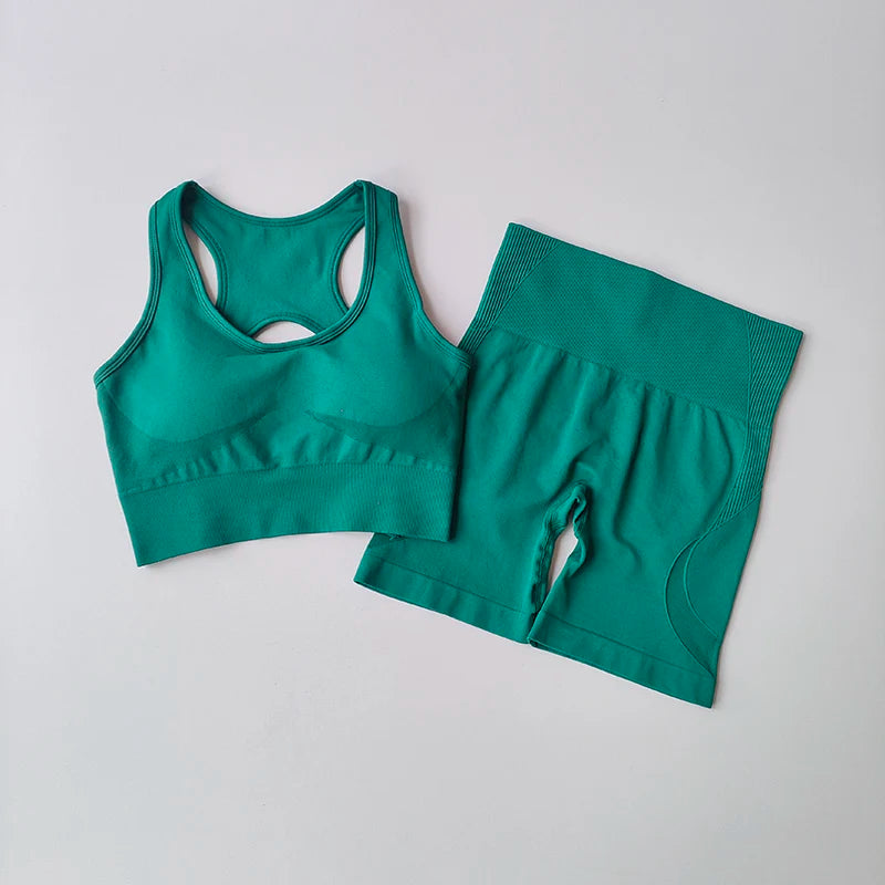 Seamless Yoga Set – Sports Bra & Shorts